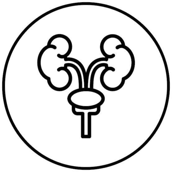 Prostate Health